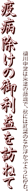 疫病除けのご利益を訪ねて