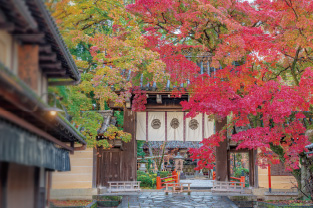 今宮神社