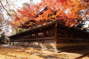 御霊神社