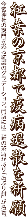 紅葉の京都で疫病退散を祈願