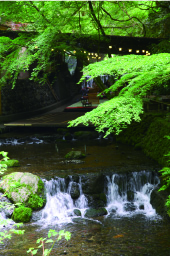 貴船の川床